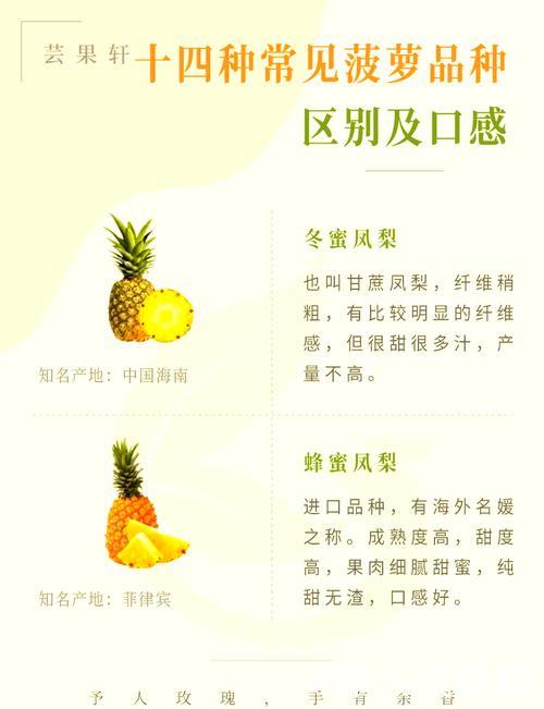 “菠萝视频破解版免费下载及安装教程”