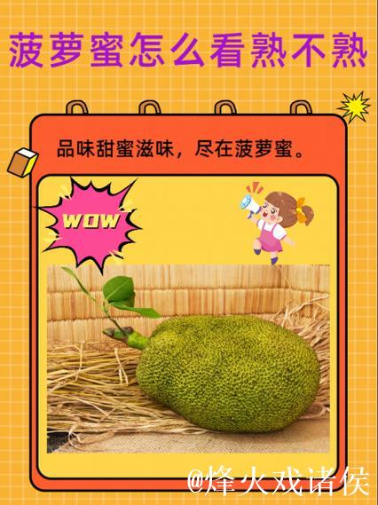 无法观看菠萝蜜视频的解决方案