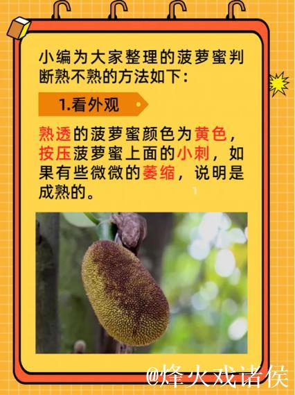 无法观看菠萝蜜视频的解决方案